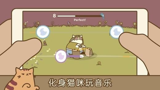 音乐猫咪免广告