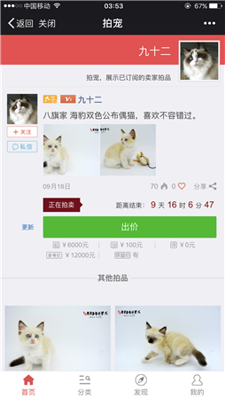 拍宠