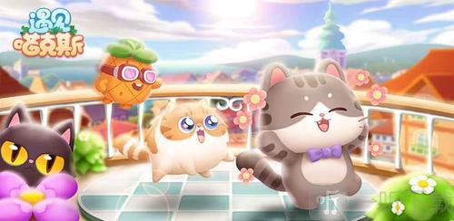 遇见喵克斯喵券如何得到 喵券前期获取方法介绍