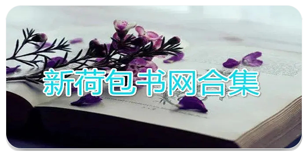 第三荷包小说网