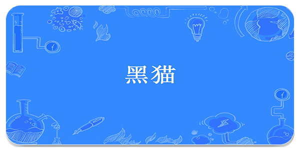 黑猫小说