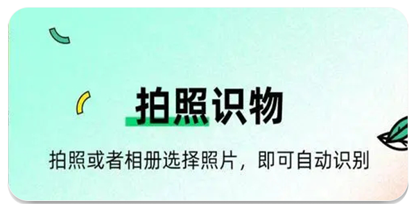 识图app