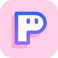PINS相机