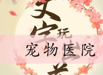 文字玩出花宠物医院关卡通过方法 宠物医院如何通过