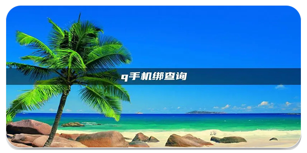 q绑查询免费