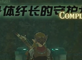 塞尔达传说王国之泪身体纤长的守护龙情节任务如何完成 身体纤长的守护龙情节任务通过方法
