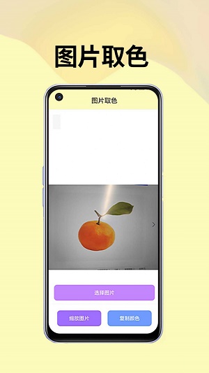 皮皮袋