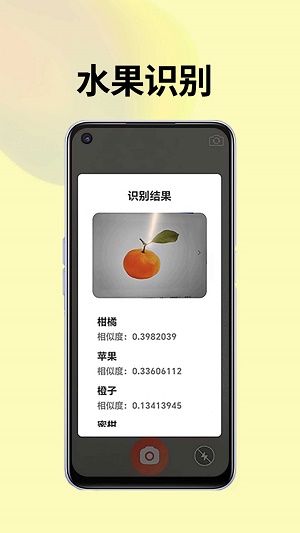 皮皮袋