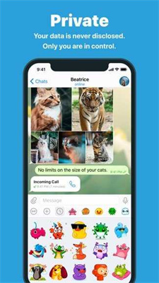 小飞机聊天交友app