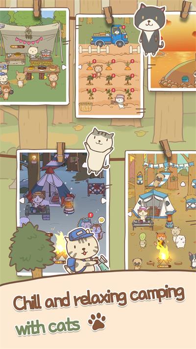猫猫露营