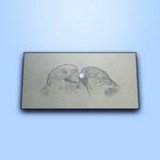 雕刻绘画3D
