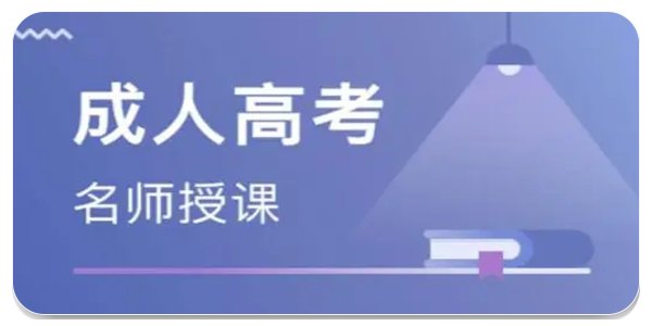 成人高考学习软件