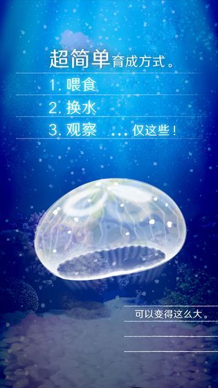 治愈的养成水母