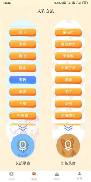 云宇猫狗翻译