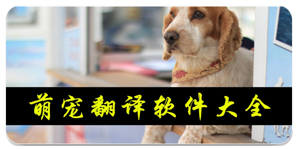 萌宠翻译软件