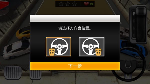 真实停车高手