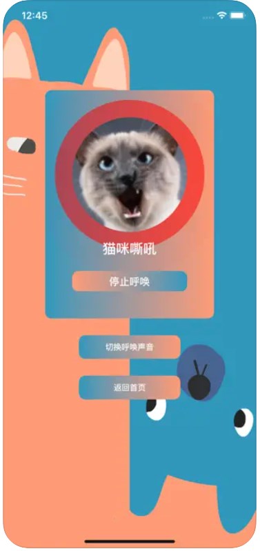 养猫神器助手