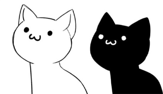 猫奶酪