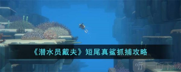 潛水員戴夫短尾真鯊抓捕方法 短尾真鯊如何抓捕