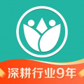 苗搭档苗木平台