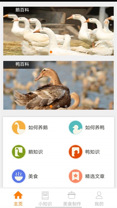 鹅鸭之家2023
