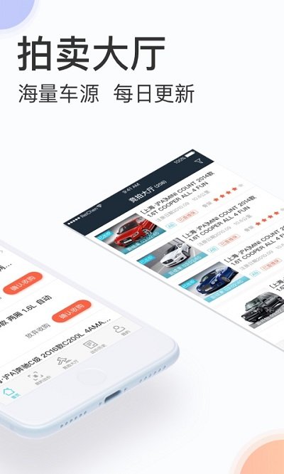 天天拍车经销商版