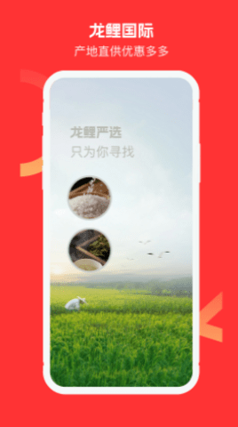 龙鲤国际商城