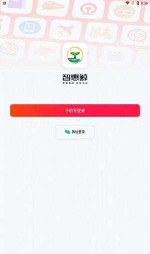 智惠鲸