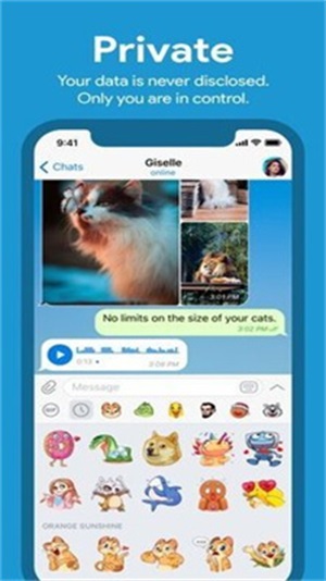 飞机工具交友app