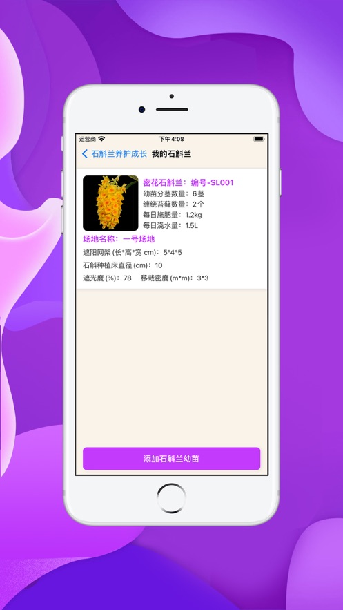 小兰君最新版