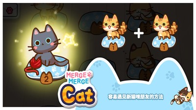 小猫合并