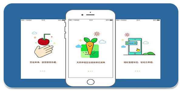 小兰君app