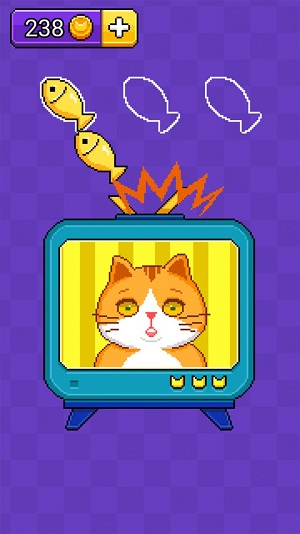 猫猫来了