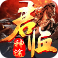 君临传奇元神