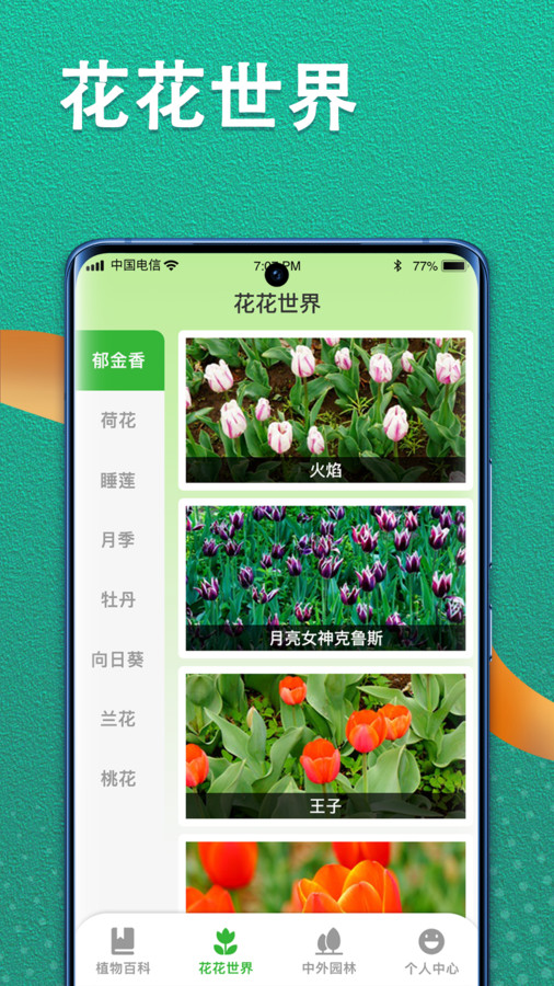 植物視界