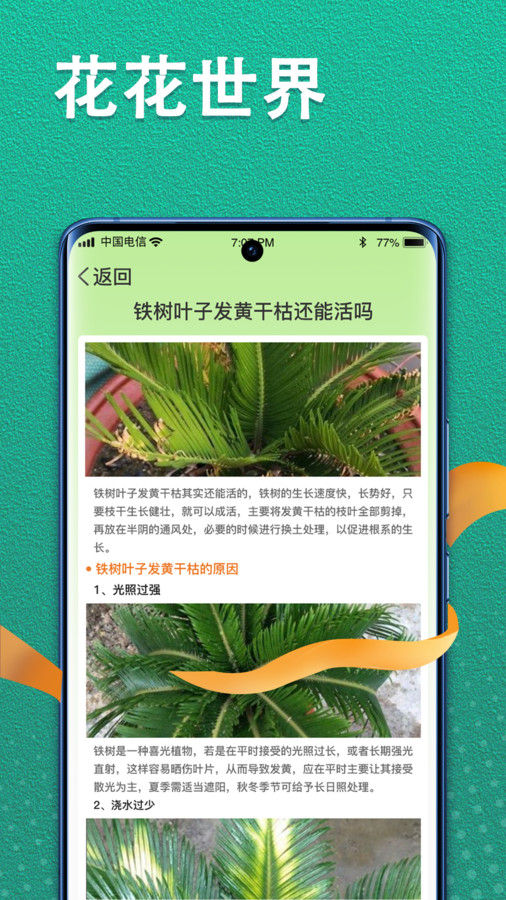 植物視界