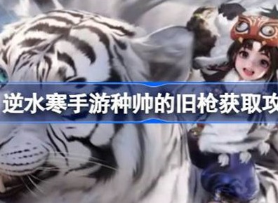 逆水寒种帅的旧枪如何获取 种帅的旧枪获德的具体攻略
