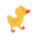 搜盘鸭app