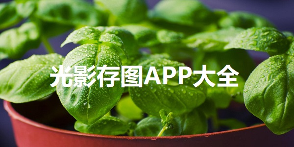 光影存图