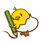 piyo日志安卓版