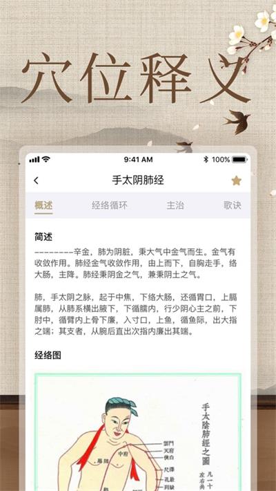 經絡穴位圖解