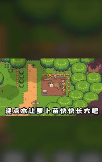 悠闲农场