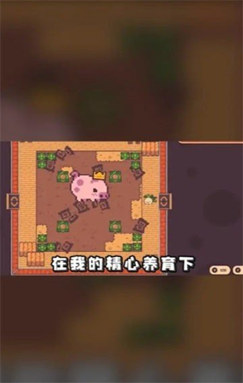 悠闲农场
