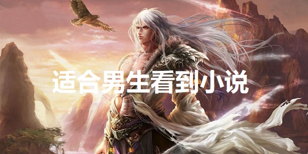 适合男生看到小说