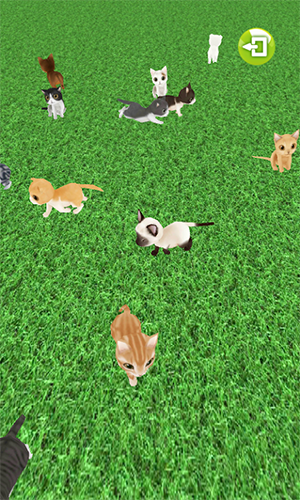 我的猫GO