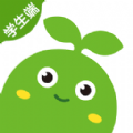豌豆素質教育