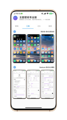 主题壁纸专业版答案