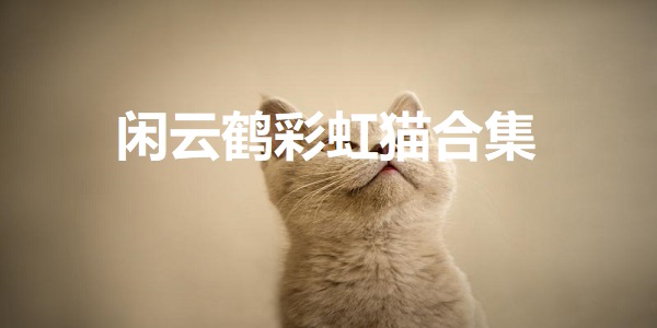 闲云鹤彩虹猫