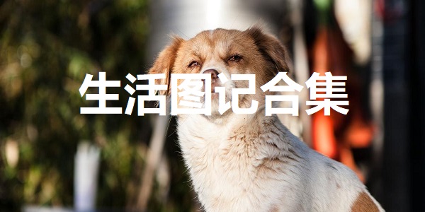 生活图记