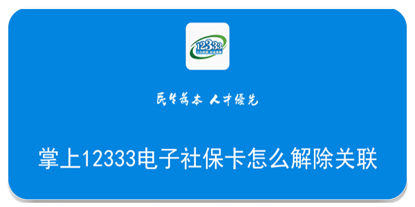 掌上12333社保